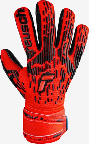 REUSCH Athletic Gloves 'Attrakt Freegel' in Red: front
