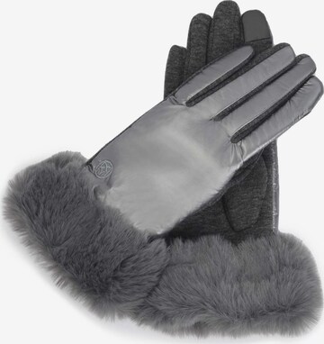 Kazar Full Finger Gloves in Grey: front