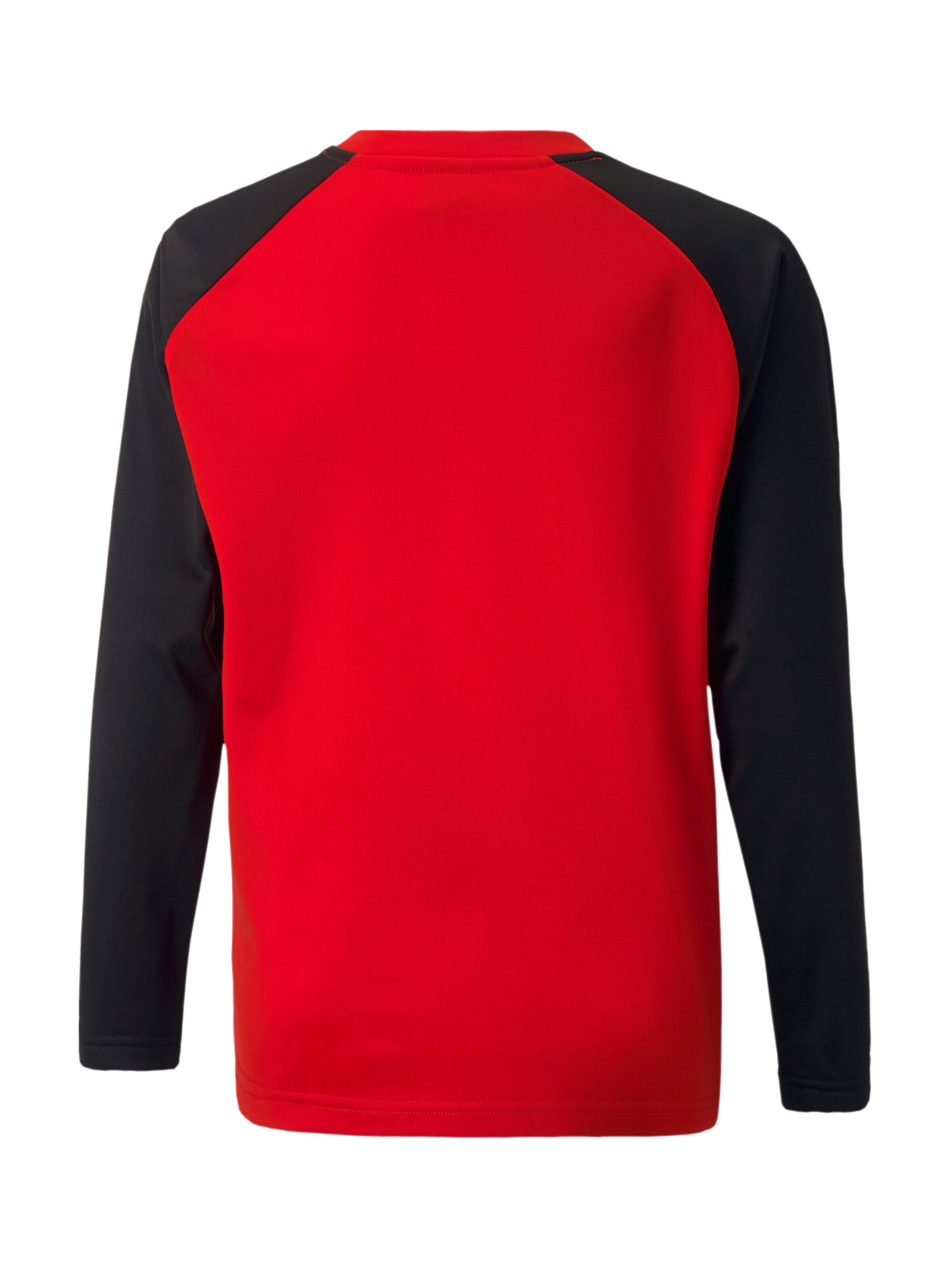 PUMA Funktionsshirt 'TeamLiga' in Rot
