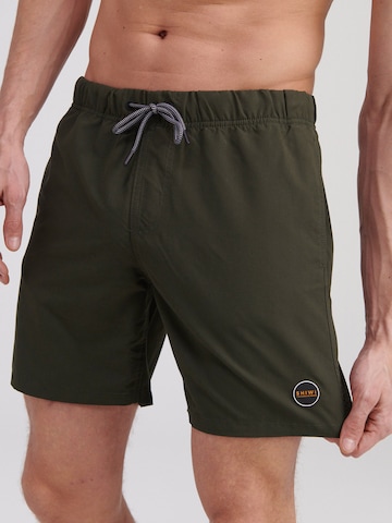 Shiwi Badeshorts in Grün