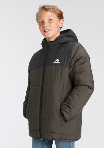 ADIDAS SPORTSWEAR Μπουφάν πεζοπορίας 'Padded Winter' σε πράσινο