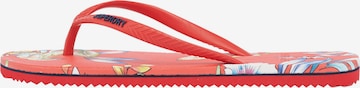 Superdry - Sandalias de dedo en rojo: frente