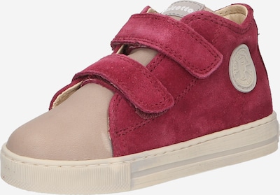 Falcotto Zapatos bajos 'MICHAEL' en rosa / frambuesa, Vista del producto
