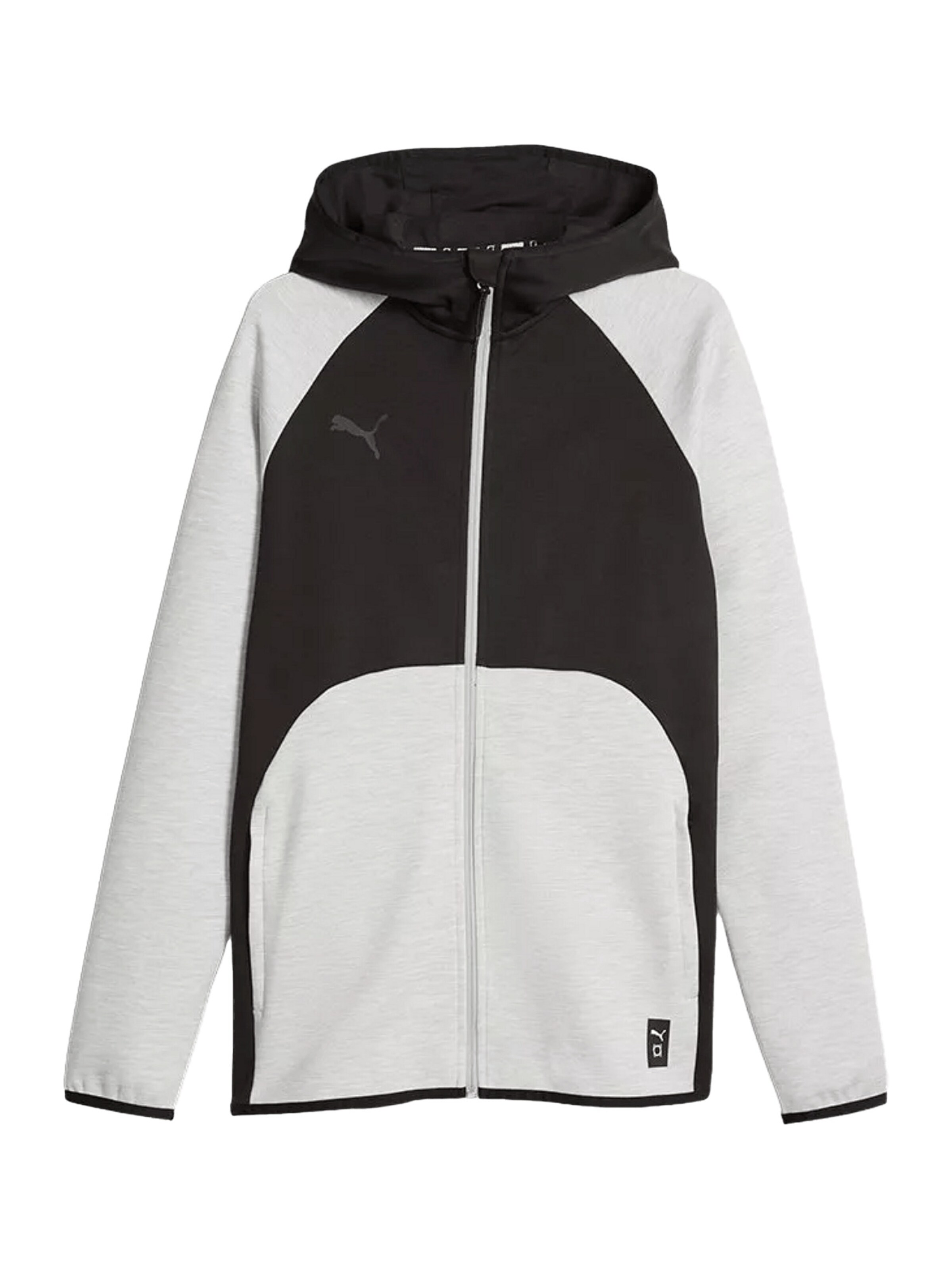 PUMA Sportsweatjacke 'Hoops Team Dime' in Grau: Vorderseite
