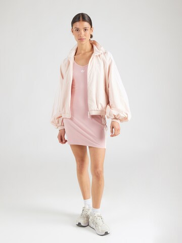 purpurinė ADIDAS ORIGINALS Suknelė