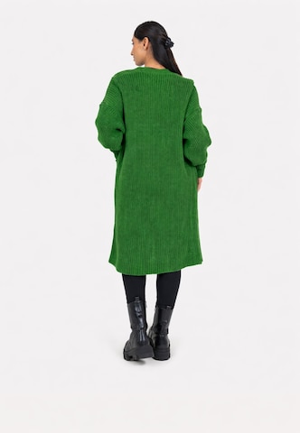 Elara Gebreid vest in Groen