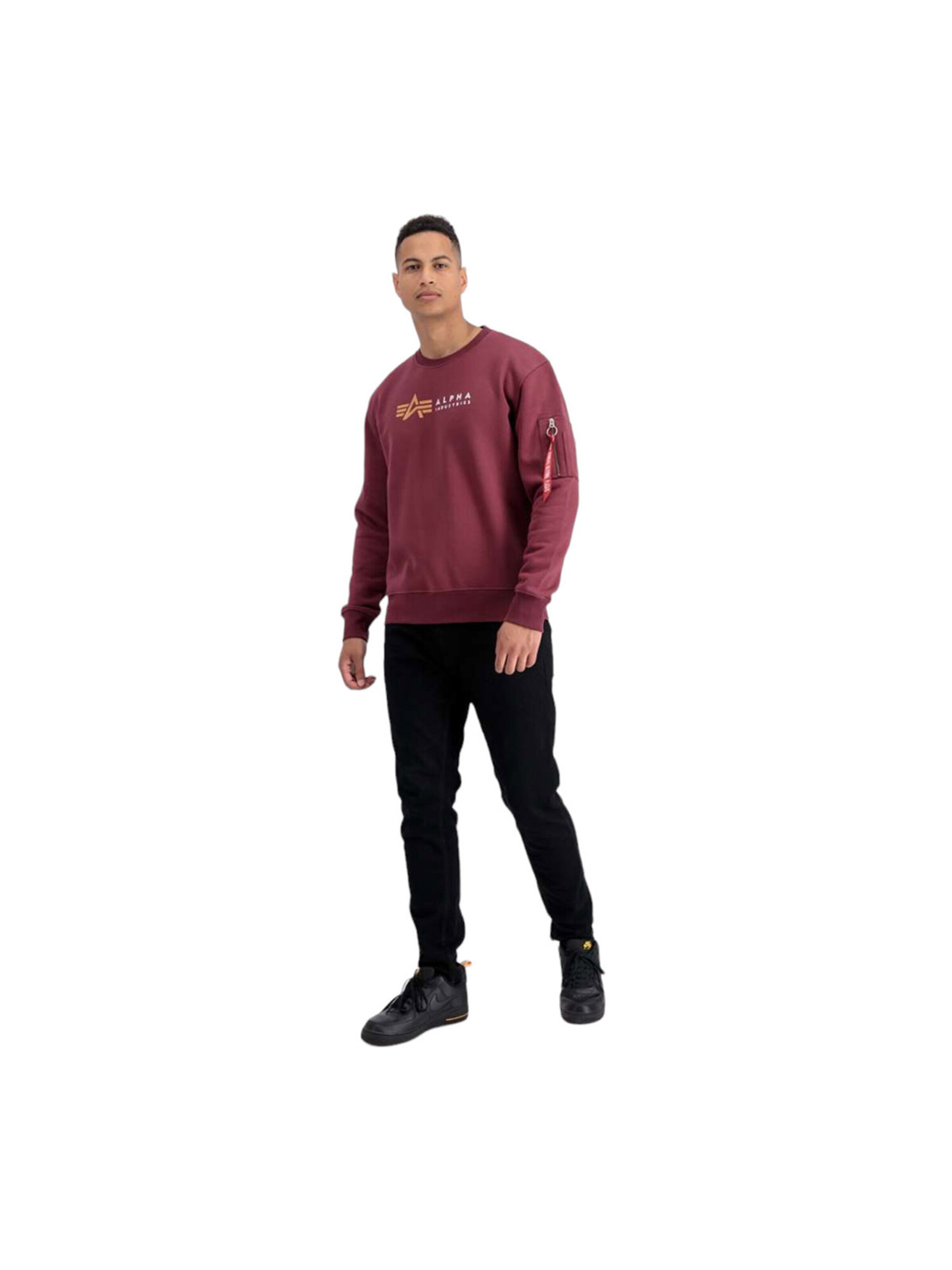 ALPHA INDUSTRIES Sweatshirt 'Alpha Label' in Red: front