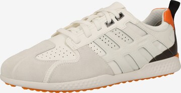 Sneaker bassa di GEOX in bianco: frontale