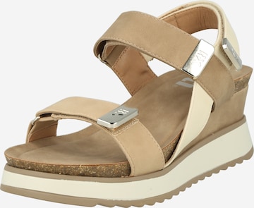 Xti Sandals in Grey: front