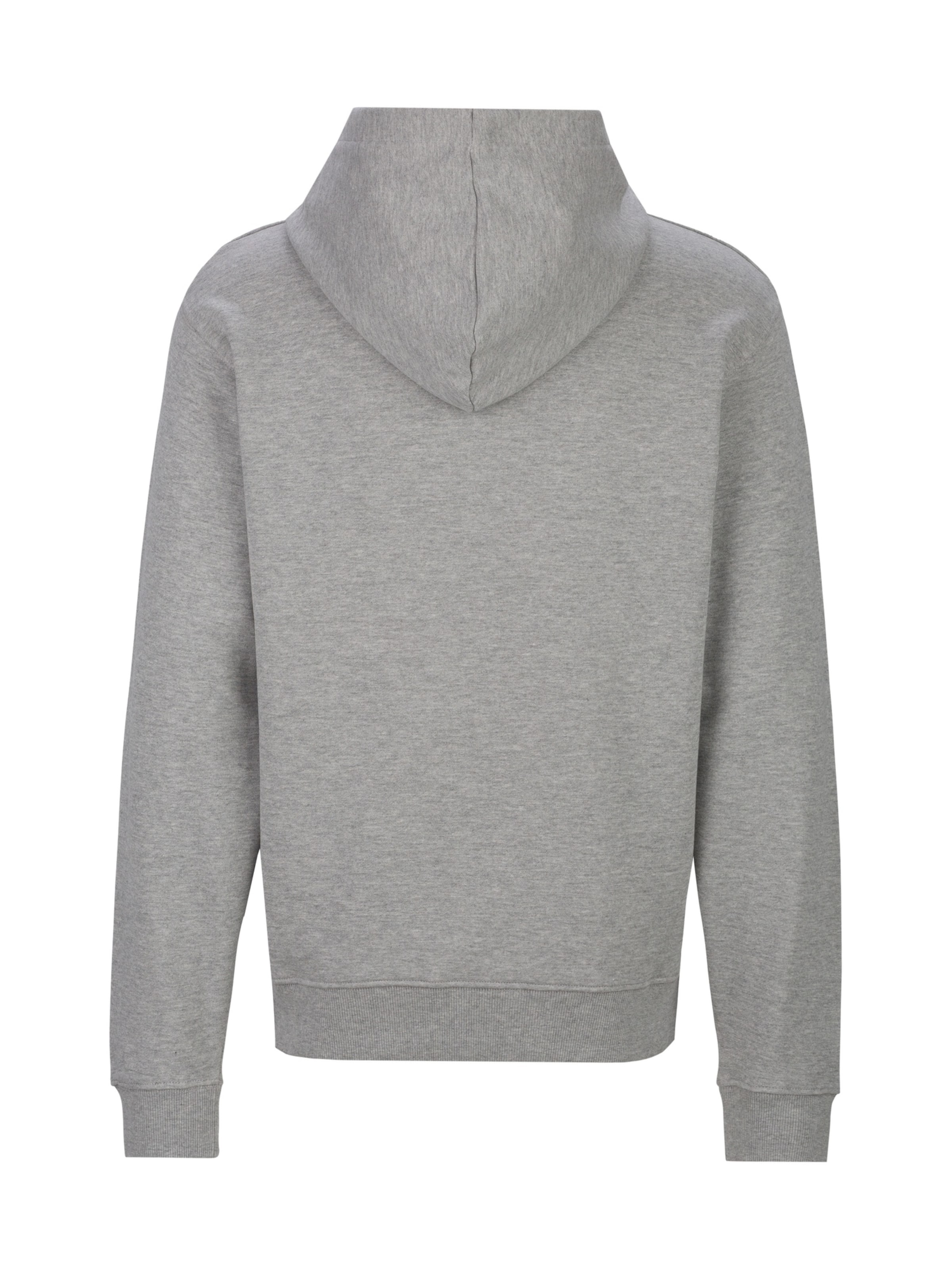 Veste de survêtement REPLAY en gris