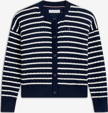 TOMMY HILFIGER Knit cardigan in Blue: front