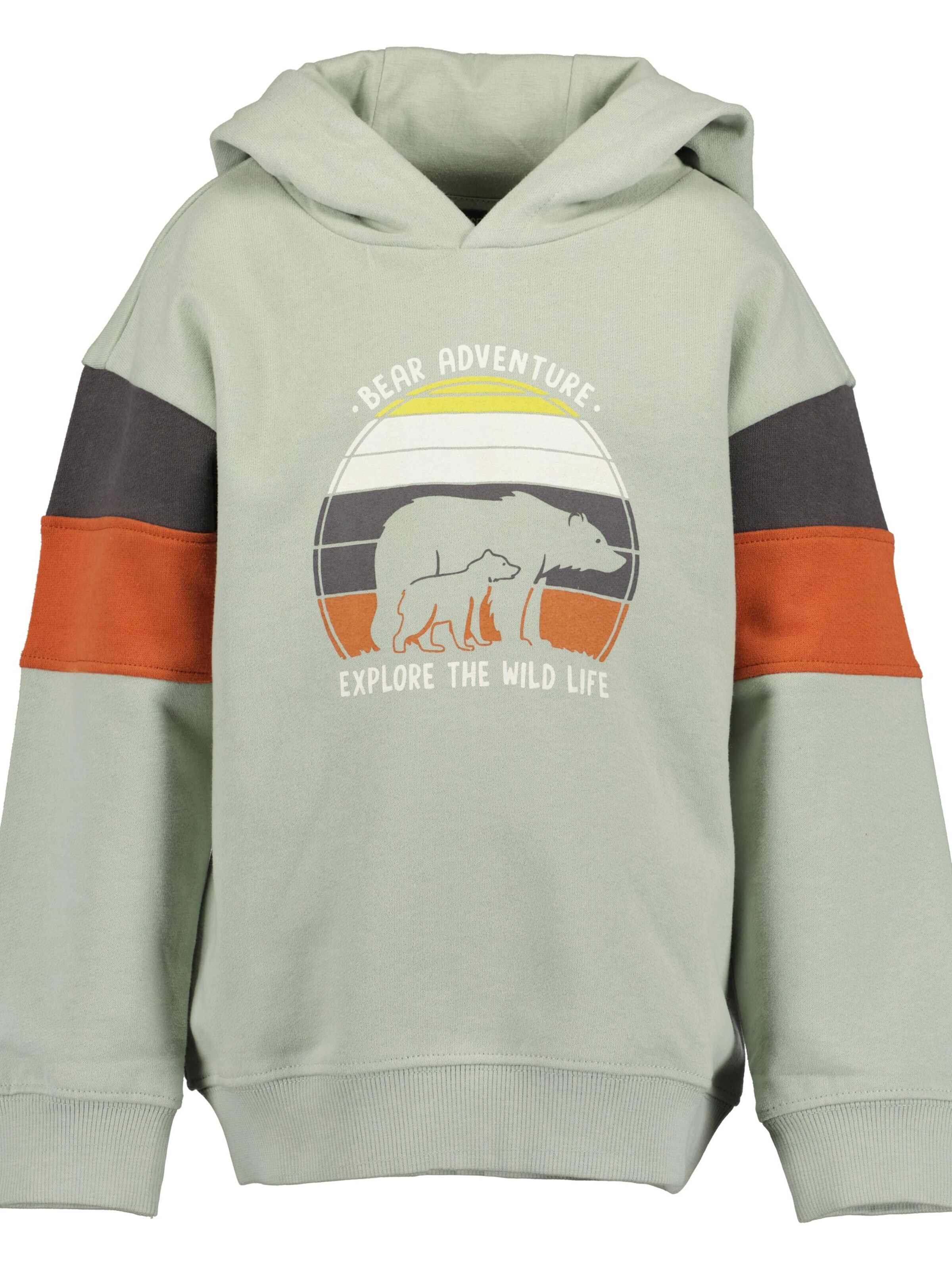 BLUE SEVEN - Sudadera en verde: frente