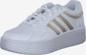 ADIDAS ORIGINALS Sneakers 'Hoops 3.0' in White: front