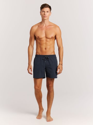 PROTEST Swimming shorts 'PRTAgden' in Blue