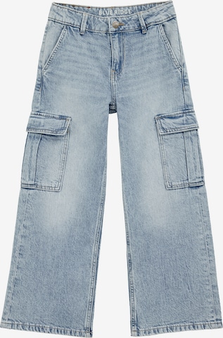 mėlyna WE Fashion Laisvas Džinsai: priekis