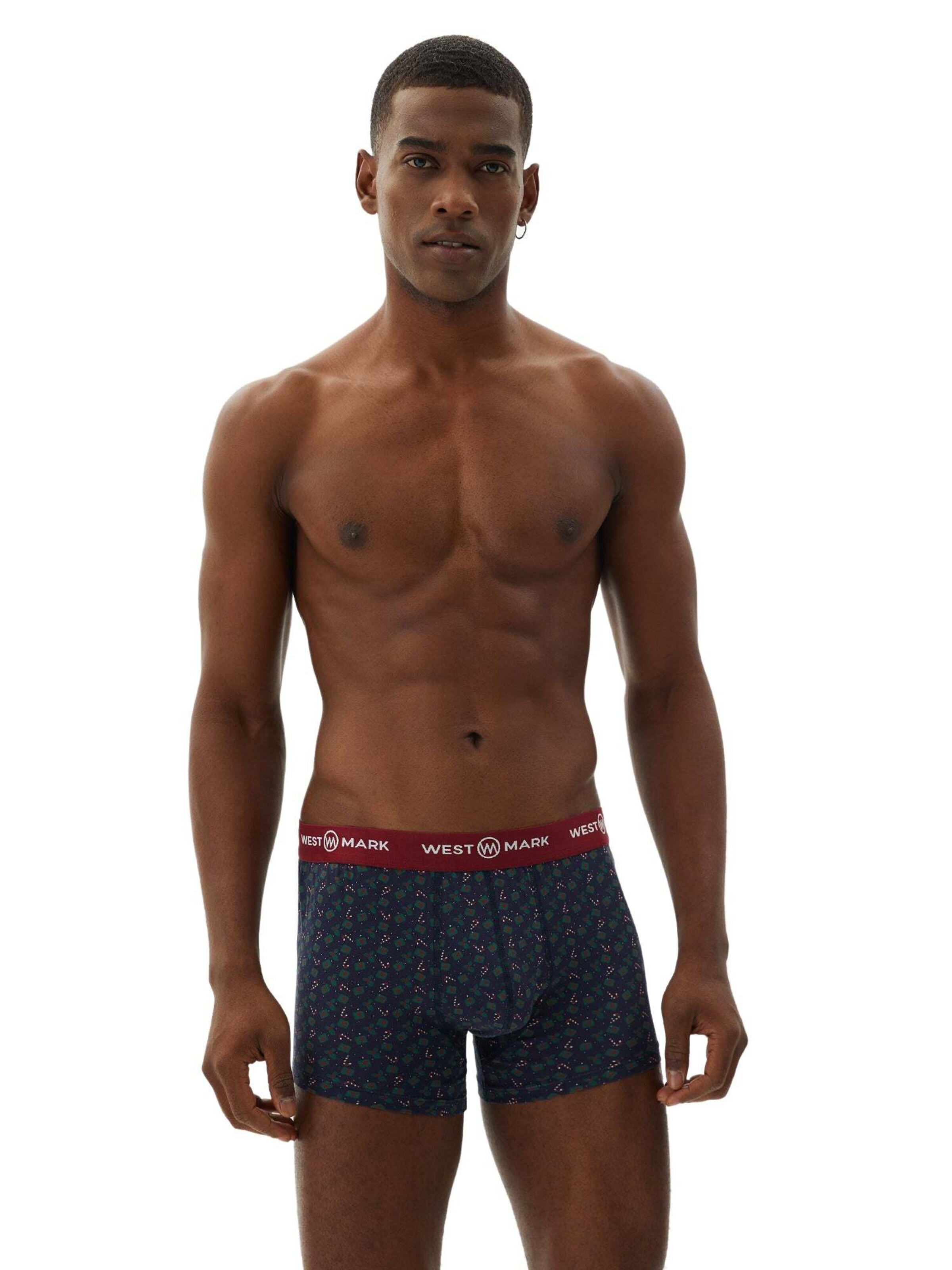 WESTMARK LONDON Boksershorts i blå