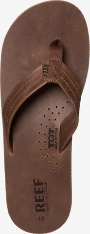 REEF Beach & Pool Shoes 'Draftsmen' in Brown