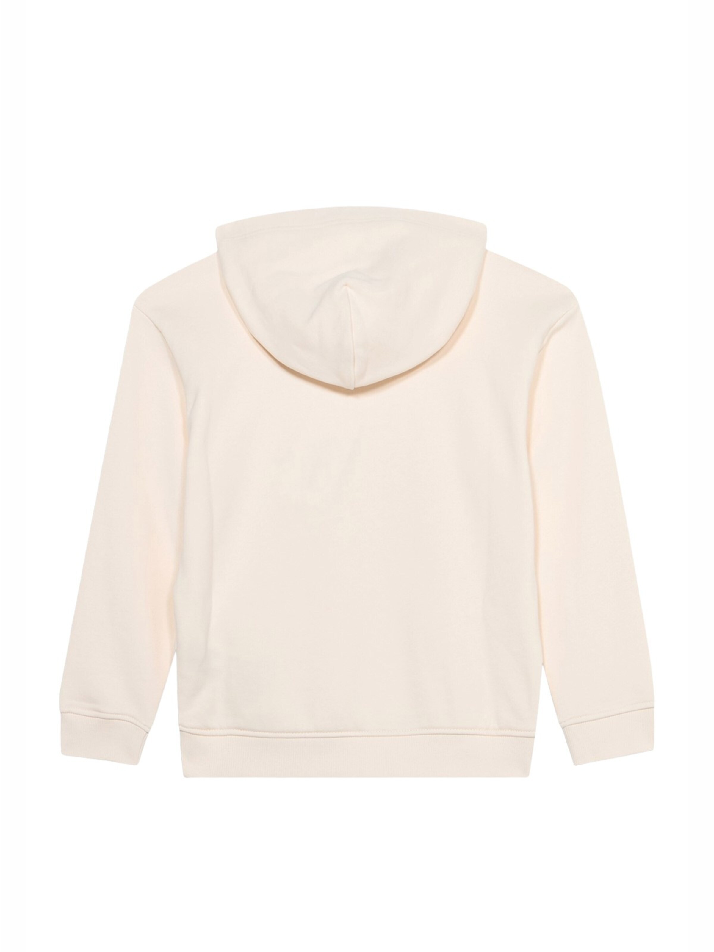 TOMMY HILFIGER Sweatshirt in Beige