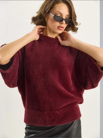 Bianco LucciPulover 'Pullover' - crvena boja
