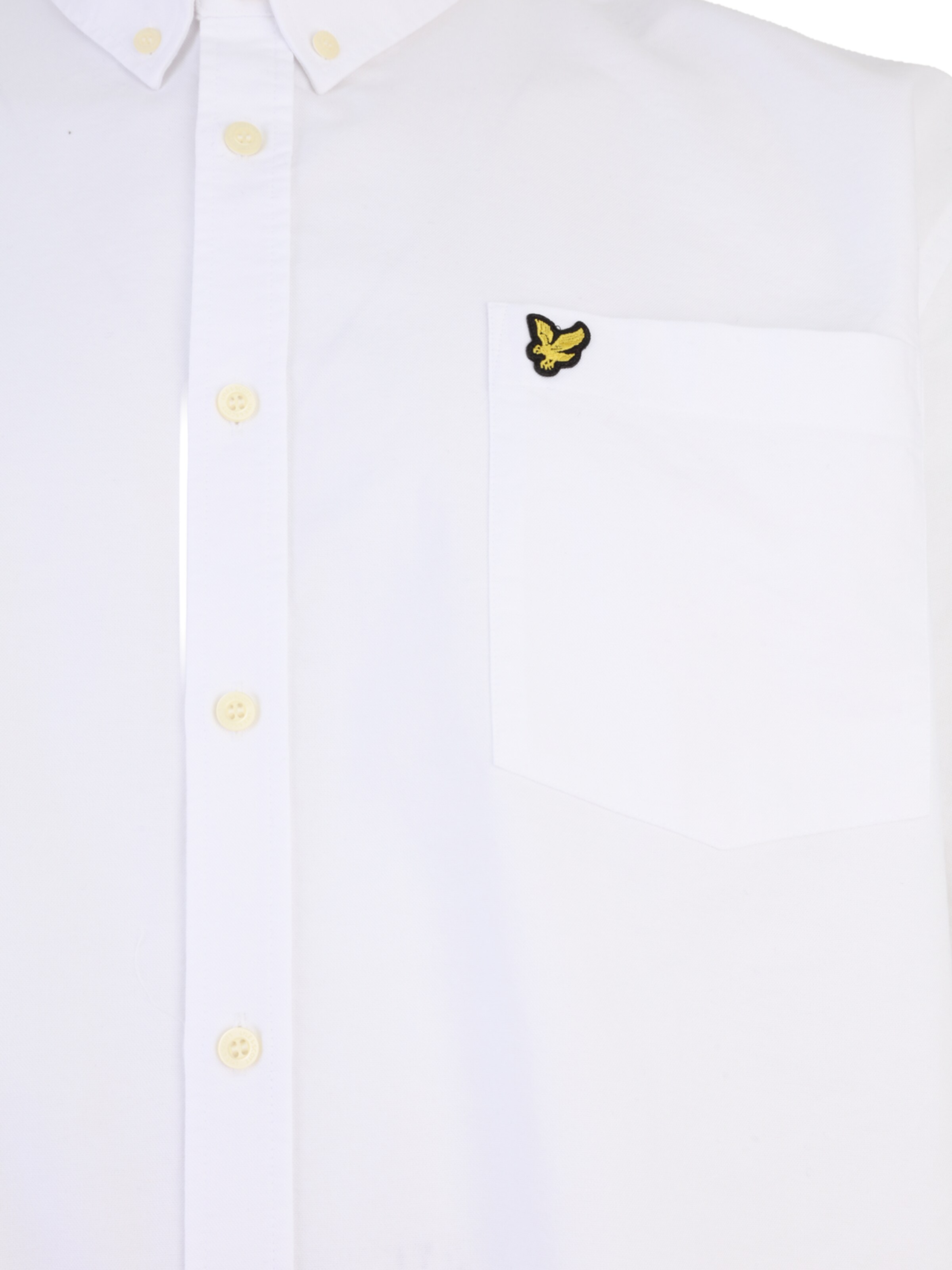 Lyle & Scott Big&Tall Regular Fit Paita värissä valkoinen