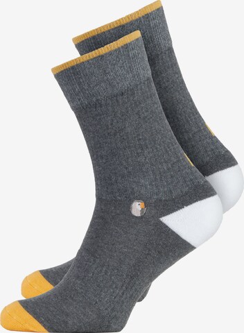 Chaussettes Sokid en gris : devant