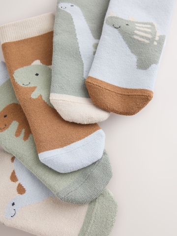 Next Socks in Beige