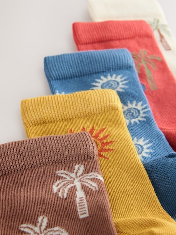 Next Socks in Mixed colours