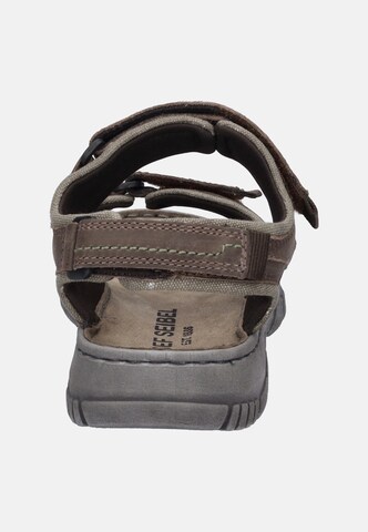 JOSEF SEIBEL Sandal 'Brendan 03' in Brown