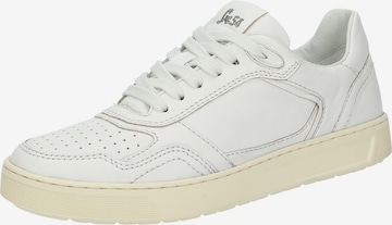 SIOUX Sneakers 'Tedroso-700' in Silver: front