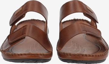 PIKOLINOS Mules in Brown