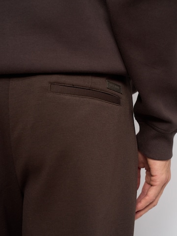 Salsa Jeans Regular Hose in Braun