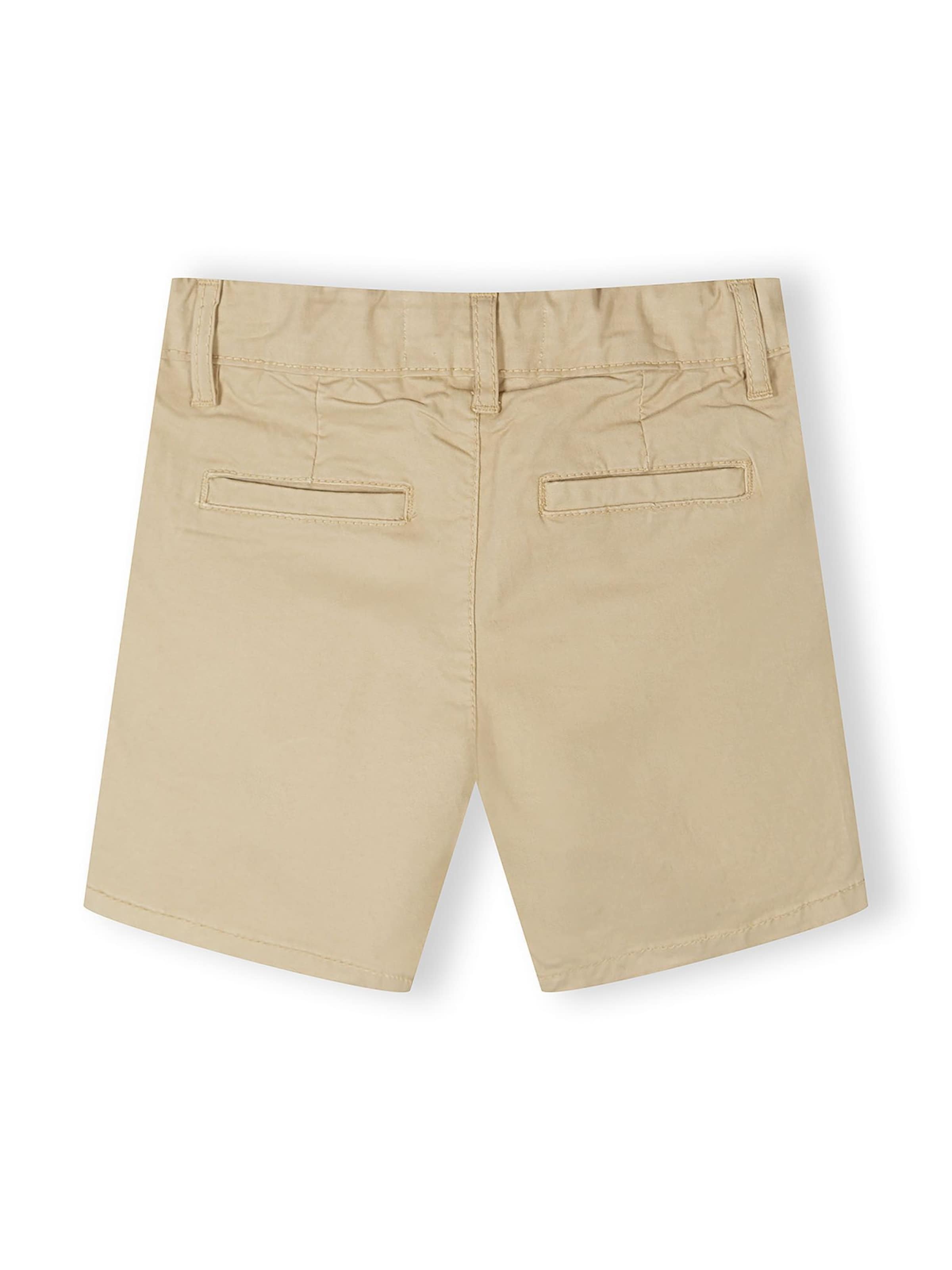 Regular Pantalon MINOTI en gris