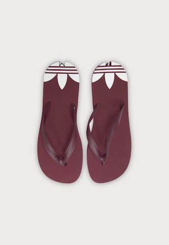 ADIDAS ORIGINALS Teenslipper 'Adi Sun' in Rood