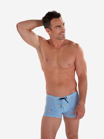 HOM Badeshorts ' Swim Shorts Viareggio ' in Blau: Vorderseite