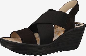 FLY LONDON Strap Sandals in Black: front