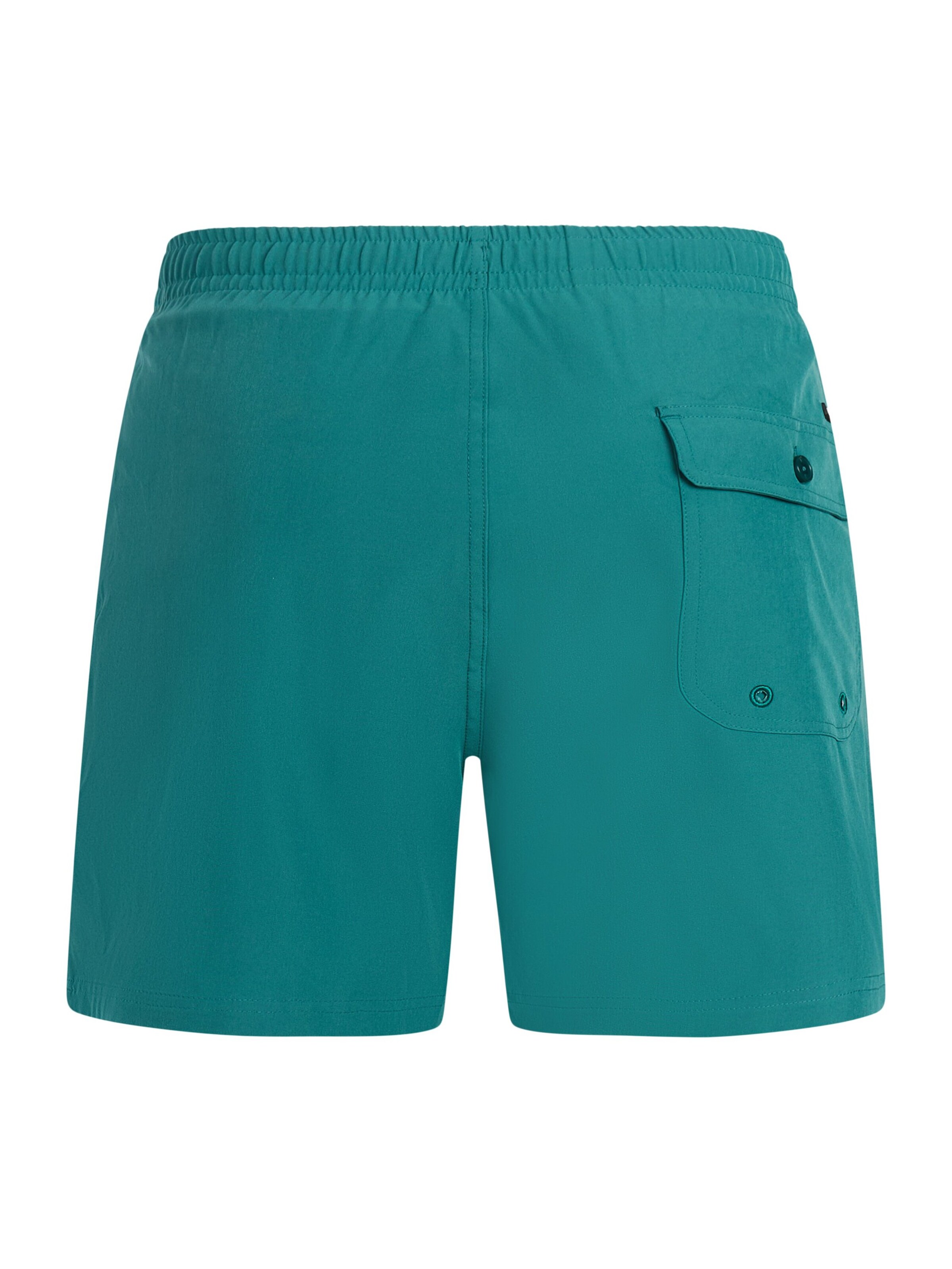 PROTEST Board Shorts 'PRTJayden' in Green