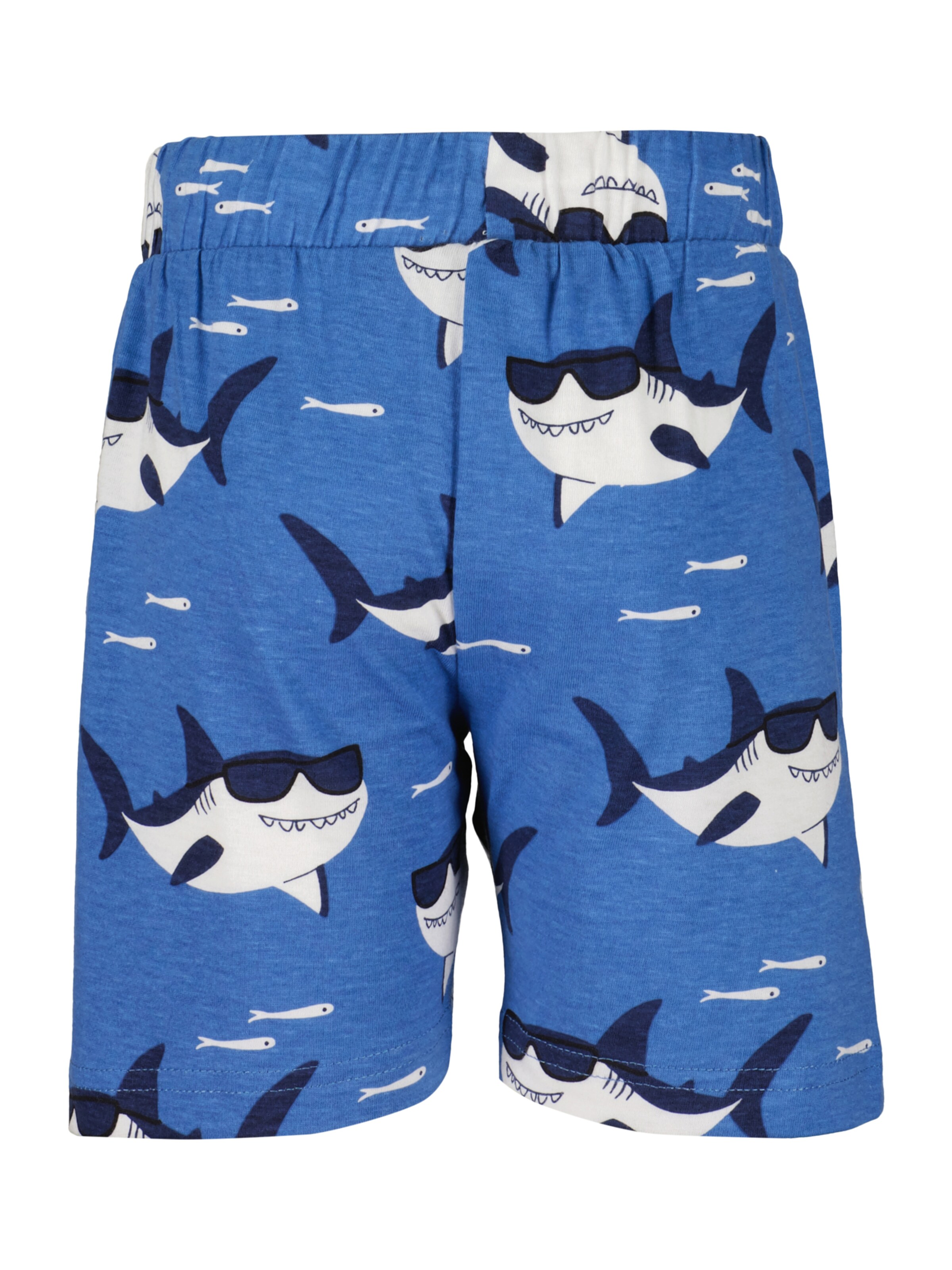 BLUE SEVEN Regular Pants in Blue