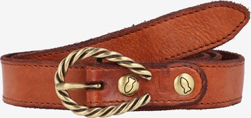 Campomaggi Belt in Brown: front