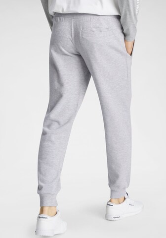 KangaROOS Tapered Pants in Grey