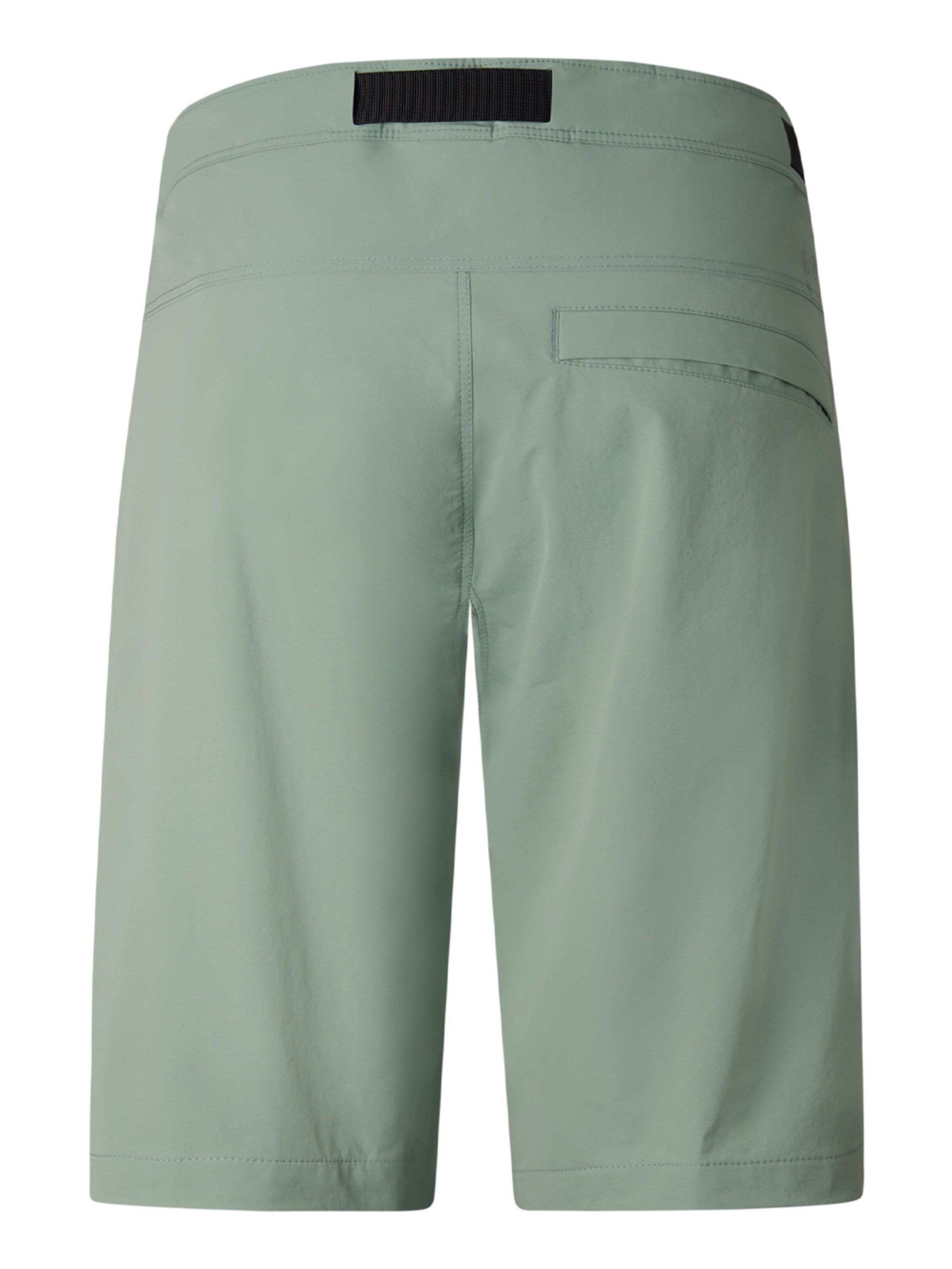 Bogner Fire + Ice Regular Outdoor Pants 'Carter' in Green