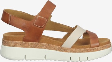 PIKOLINOS Strap Sandals in Brown