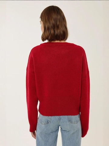 Pull-over 'Pullover' Hiccup en rouge