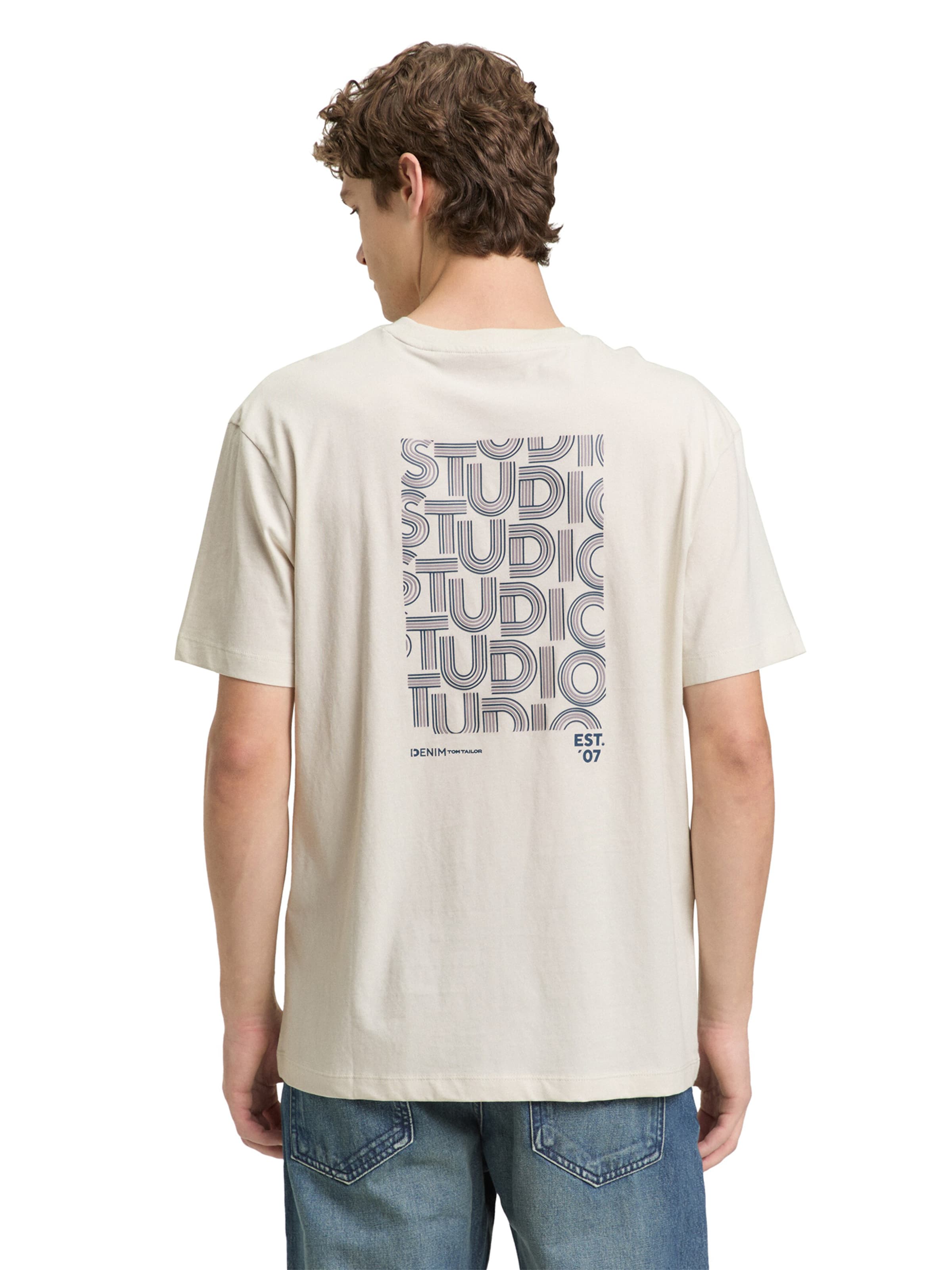 TOM TAILOR DENIM - Camiseta en gris: frente