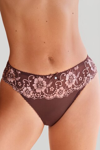 LASCANA Slip in Braun: Vorderseite