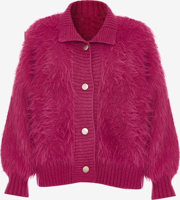 Poomi Knit Cardigan in Pink: front