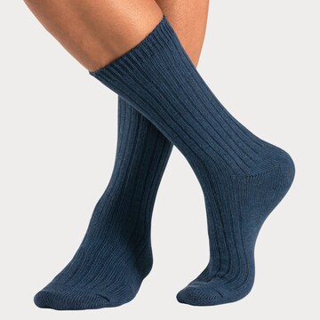 H.I.S Socks in Blue: front