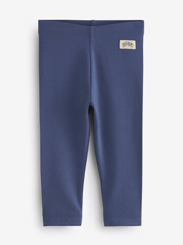 Next Skinny Leggings in Mischfarben