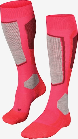 Calzino sportivo di FALKE in rosso: frontale