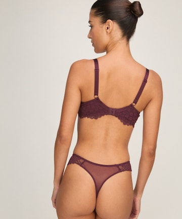 Hunkemöller BH 'Daisy' in Lila