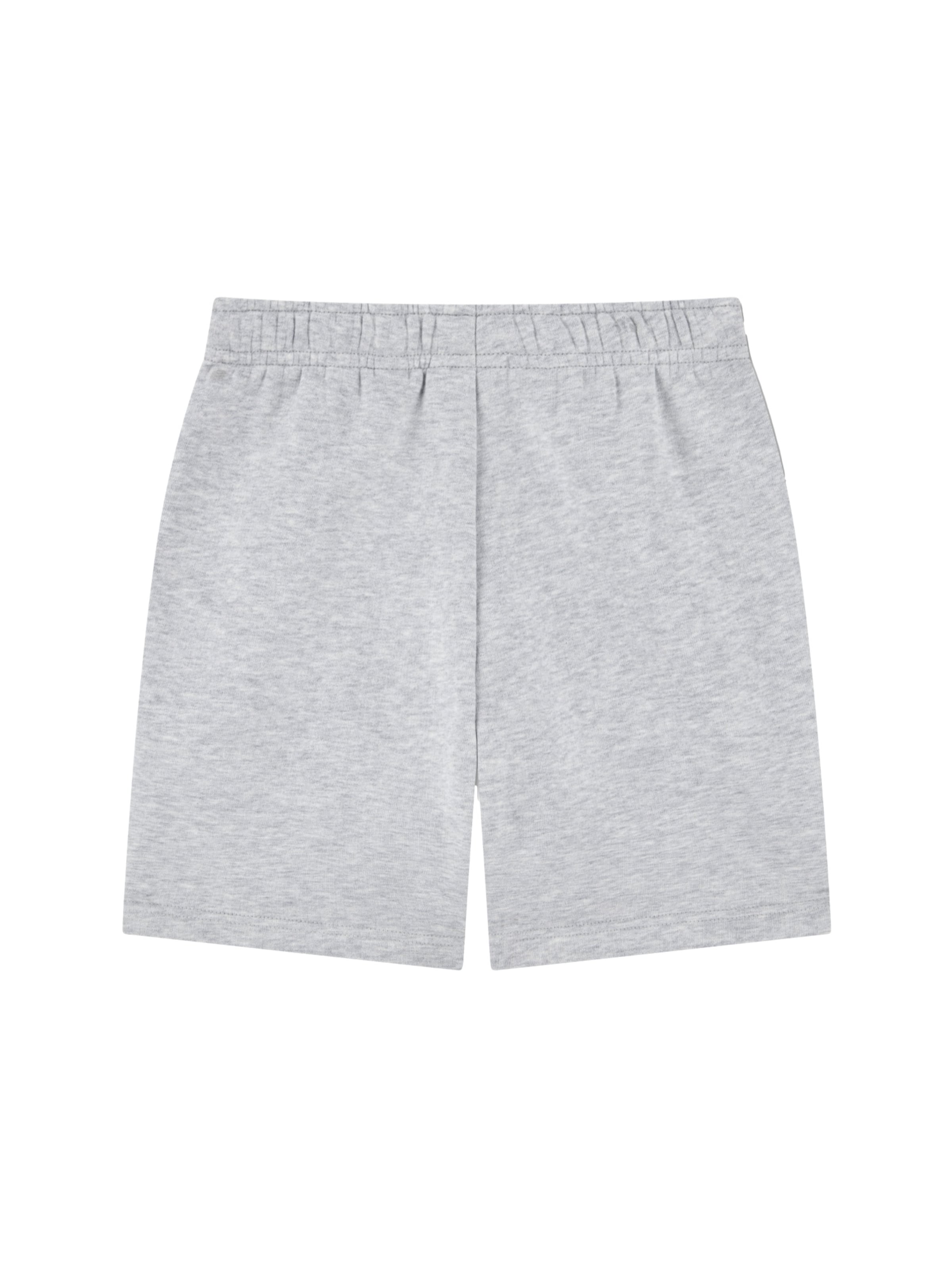 LACOSTE Regular Sportbroek 'LCB Core' in Grijs